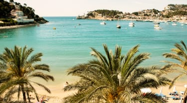 Strand med palmer og klarblått havVet du allerede at du vil dra på siste liten-reise til Mallorca? Klikk her for å gå direkte til Mallorcas siste liten-reiser.