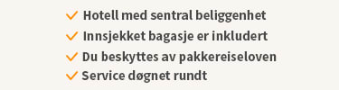Fordeler ved å bestille storbyreise med Ving